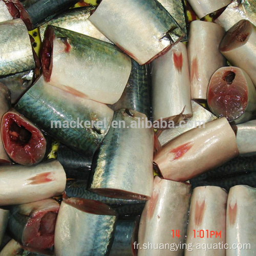Meilleures marques Frozen Fish Mackerel Hgt pour conserve